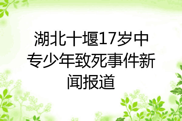 湖北十堰17岁中专少年致死事件新闻报道
