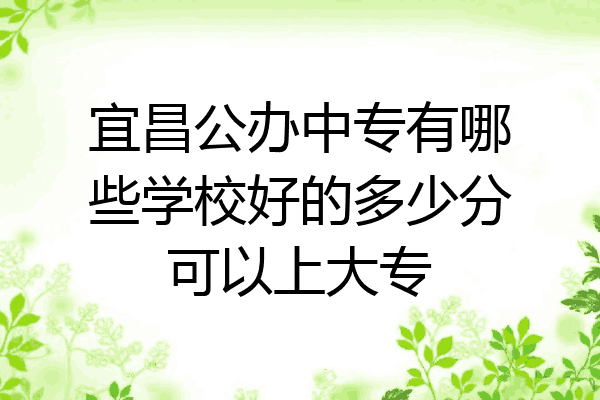 宜昌公办中专有哪些学校好的多少分可以上大专