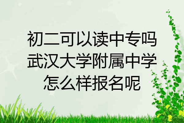 初二可以读中专吗武汉大学附属中学怎么样报名呢