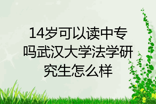 14岁可以读中专吗武汉大学法学研究生怎么样