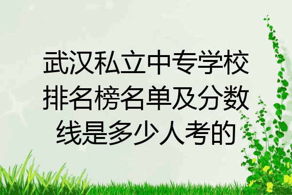 武汉私立中专学校排名榜名单及分数线是多少人考的