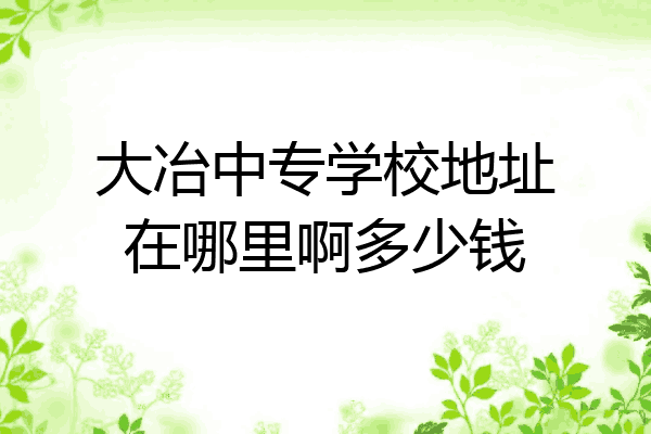 大冶中专学校地址在哪里啊多少钱