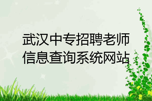 武汉中专招聘老师信息查询系统网站