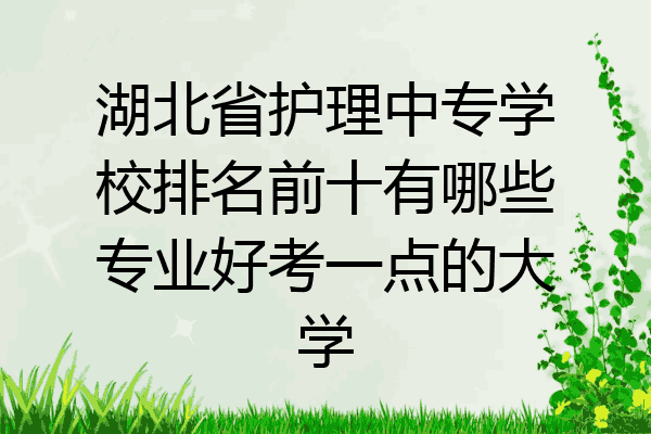 湖北省护理中专学校排名前十有哪些专业好考一点的大学