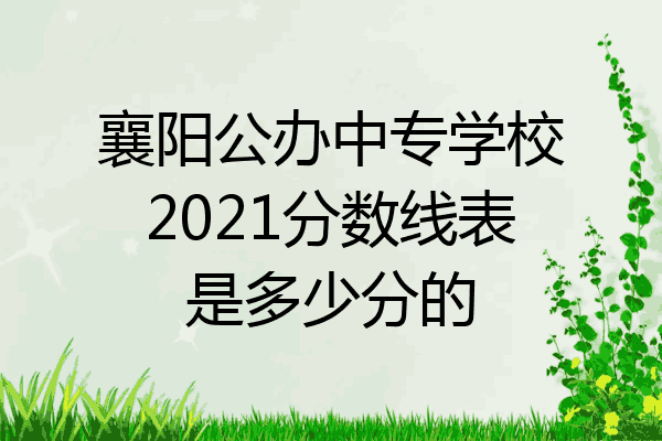 襄阳公办中专学校2021分数线表是多少分的