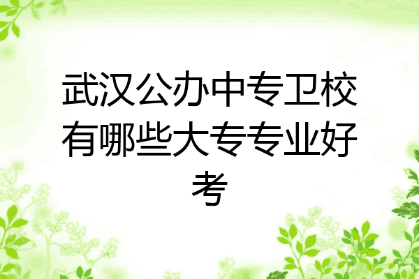 武汉公办中专卫校有哪些大专专业好考