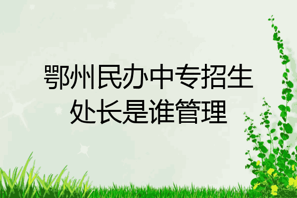 鄂州民办中专招生处长是谁管理
