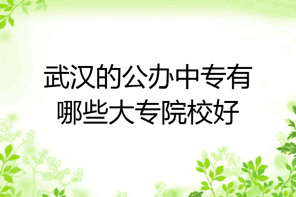 武汉的公办中专有哪些大专院校好