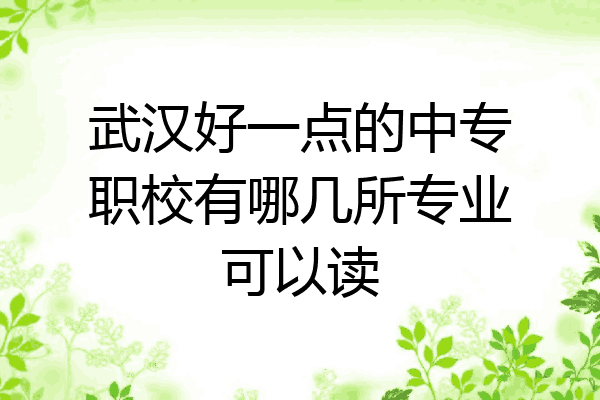 武汉好一点的中专职校有哪几所专业可以读