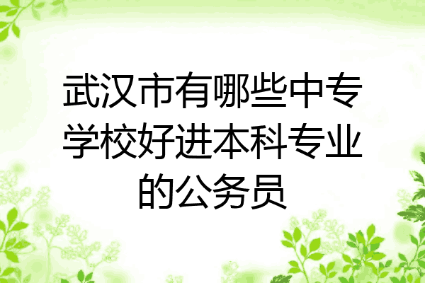 武汉市有哪些中专学校好进本科专业的公务员