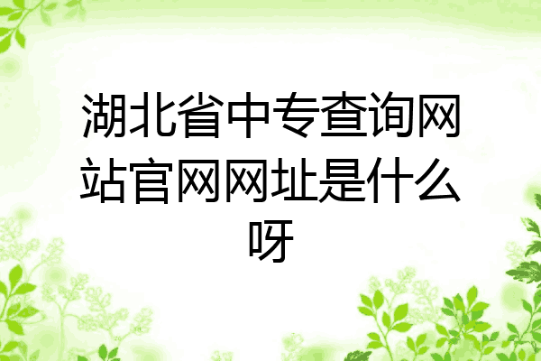 湖北省中专查询网站官网网址是什么呀