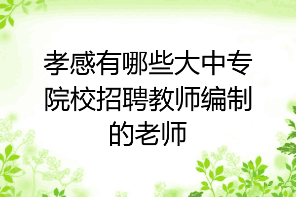 孝感有哪些大中专院校招聘教师编制的老师