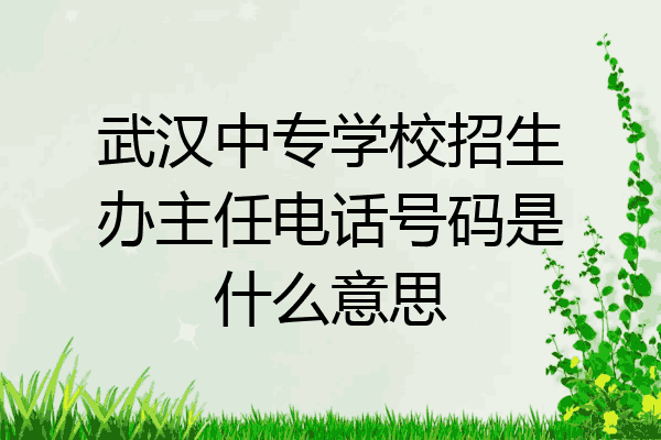 武汉中专学校招生办主任电话号码是什么意思