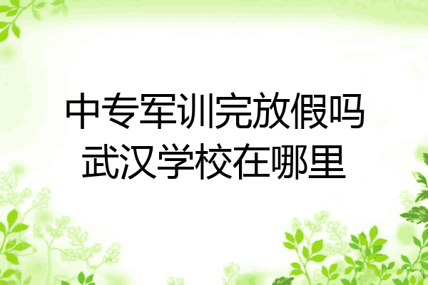 中专军训完放假吗武汉学校在哪里