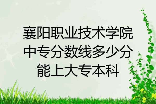 襄阳职业技术学院中专分数线多少分能上大专本科