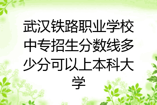 武汉铁路职业学校中专招生分数线多少分可以上本科大学