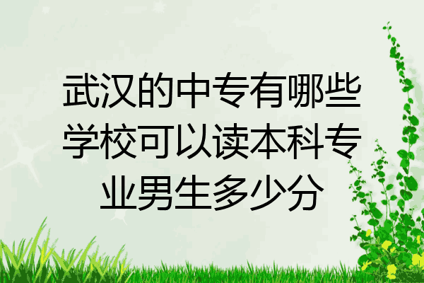 武汉的中专有哪些学校可以读本科专业男生多少分