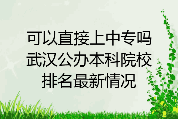 可以直接上中专吗武汉公办本科院校排名最新情况
