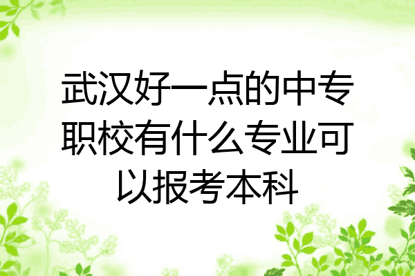 武汉好一点的中专职校有什么专业可以报考本科