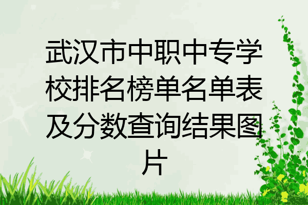 武汉市中职中专学校排名榜单名单表及分数查询结果图片