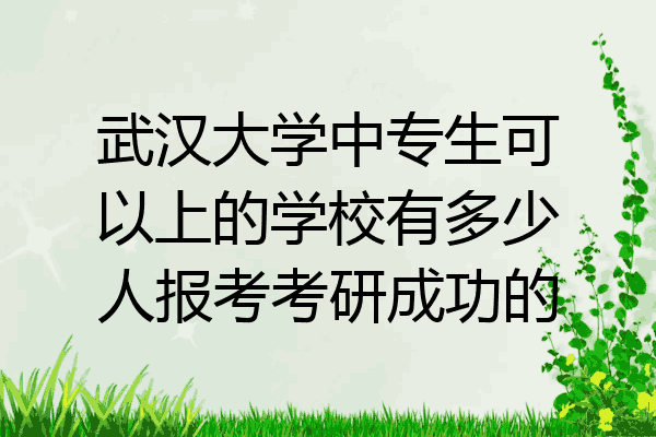 武汉大学中专生可以上的学校有多少人报考考研成功的