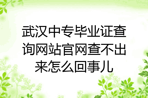 武汉中专毕业证查询网站官网查不出来怎么回事儿