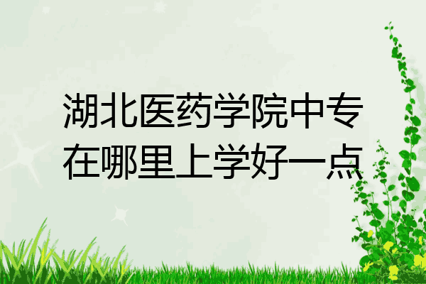 湖北医药学院中专在哪里上学好一点