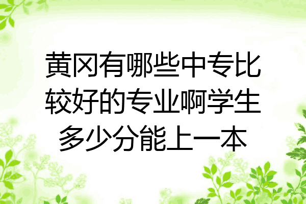 黄冈有哪些中专比较好的专业啊学生多少分能上一本
