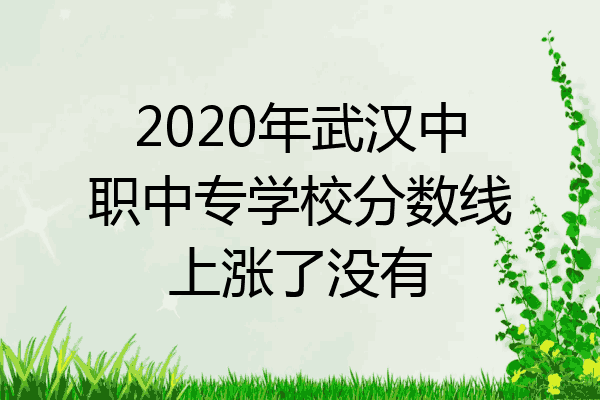 2020年武汉中职中专学校分数线上涨了没有