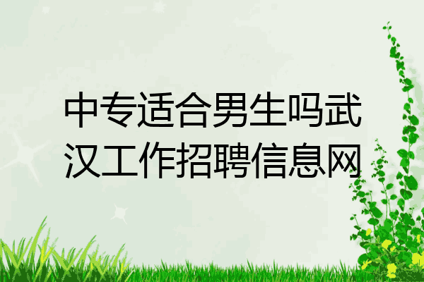 中专适合男生吗武汉工作招聘信息网