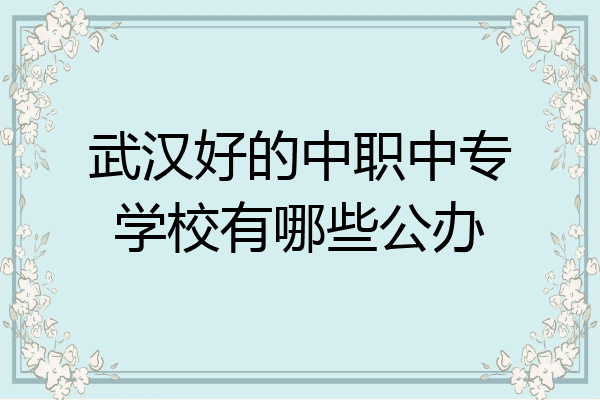 武汉好的中职中专学校有哪些公办
