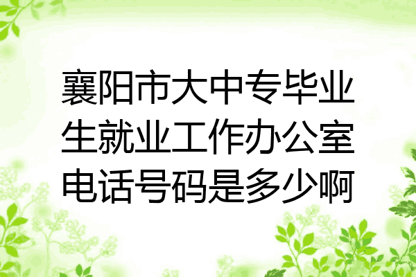 襄阳市大中专毕业生就业工作办公室电话号码是多少啊