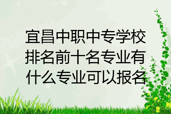 宜昌中职中专学校排名前十名专业有什么专业可以报名