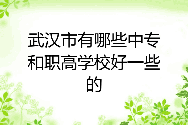 武汉市有哪些中专和职高学校好一些的