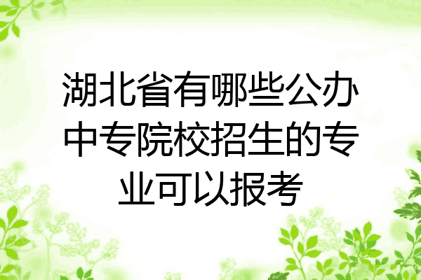 湖北省有哪些公办中专院校招生的专业可以报考