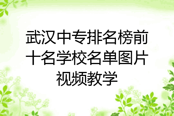 武汉中专排名榜前十名学校名单图片视频教学