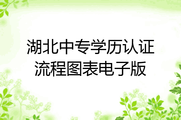 湖北中专学历认证流程图表电子版