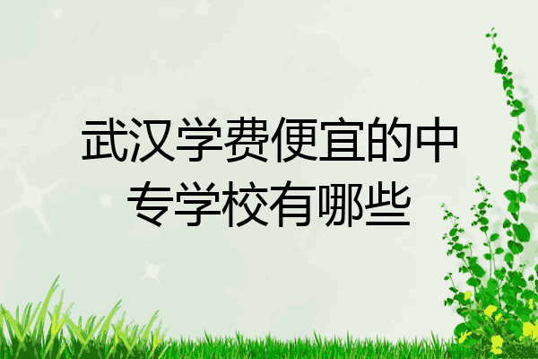 武汉学费便宜的中专学校有哪些