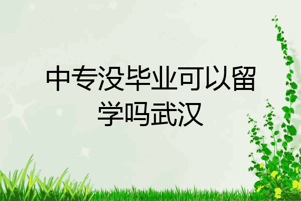 中专没毕业可以留学吗武汉