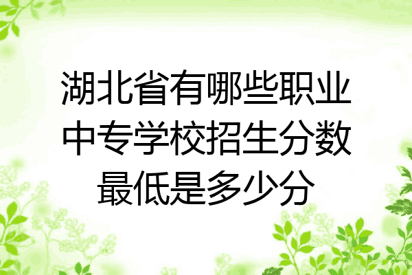 湖北省有哪些职业中专学校招生分数最低是多少分