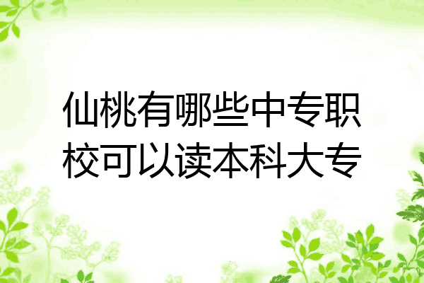 仙桃有哪些中专职校可以读本科大专