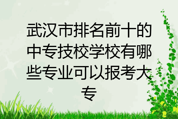 武汉市排名前十的中专技校学校有哪些专业可以报考大专
