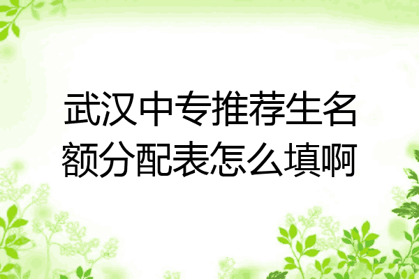 武汉中专推荐生名额分配表怎么填啊