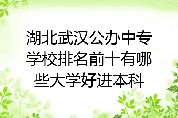湖北武汉公办中专学校排名前十有哪些大学好进本科