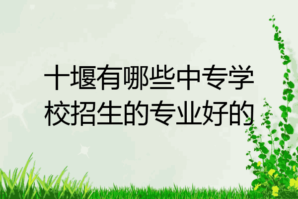 十堰有哪些中专学校招生的专业好的