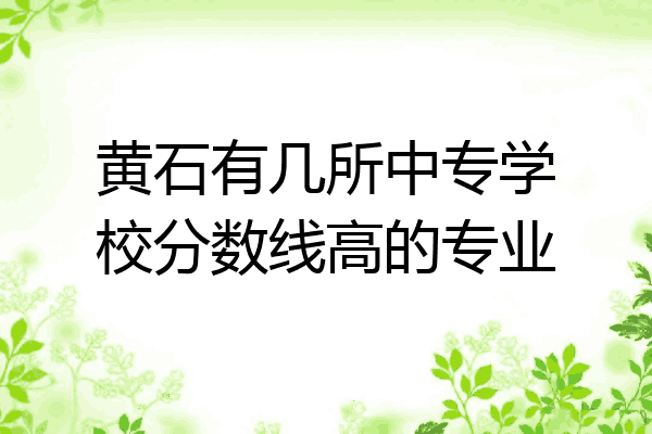 黄石有几所中专学校分数线高的专业