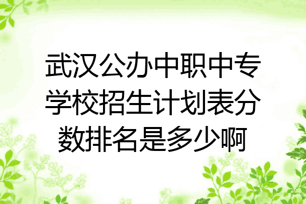 武汉公办中职中专学校招生计划表分数排名是多少啊