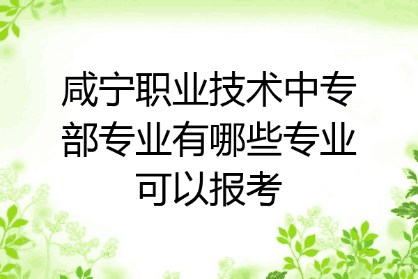 咸宁职业技术中专部专业有哪些专业可以报考