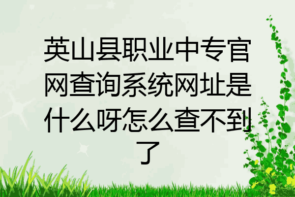 英山县职业中专官网查询系统网址是什么呀怎么查不到了