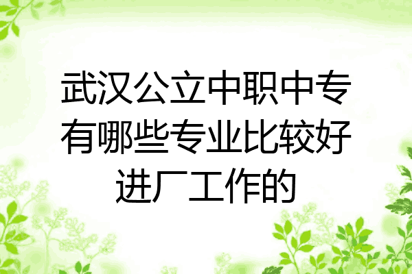 武汉公立中职中专有哪些专业比较好进厂工作的